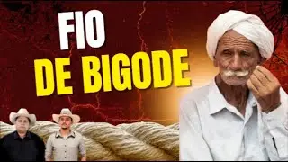 FIO DE BIGODE _  THIAGO VIOLA E CARLOS LIMA