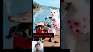 Funny Cat Detective 🕵️&zwj;♂️ | AI Generated Cat Animation | MeowVerse TV