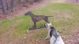 Shep protects his family from dog statue