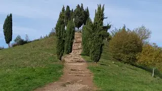PIRAMIDI di MONTEVECCHIA Albero STREGATO LAGO DI COMO