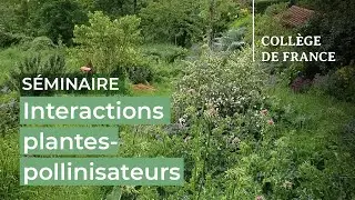 Interactions plantes-pollinisateurs : hier, aujourd’hui et demain (15) - E. Porcher (2023-2024)