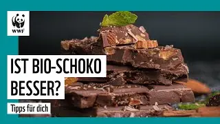 Schokolade: Ist bio wirklich besser? | WWF Deutschland