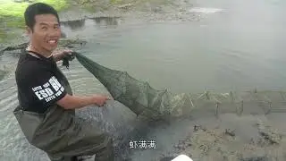 小池把大坝的水放干后抓虾蟹，放下的网笼抓到很多泥虾，太开心了
