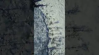 Timber snow forests winter drone landscape