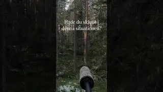 Att skjuta eller inte skjuta? Ensamt stort vildsvin i slutet av december.  #vildsvin #jakt