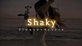 Shaky || New Song 2025 || [Slowed And Reverb] Lyrics