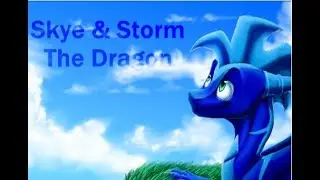 Skye & Storm The Dragon ~ Weather Man ~