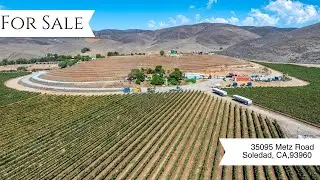 Dover Vineyard | 217&plusmn; Acres in Monterey AVA | Premium Vineyard Investment Opportunity