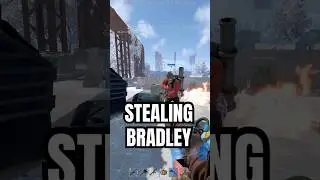 greedy bradley in rust