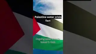 Urgent Water Crisis in Palestine: Impact on Daily Lives and How You Can Help