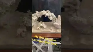 Freshwater tank transfer it to a Saltwater reef tank ￼ my Aquascape ￼ #aquarium #reef2reef #reeffish