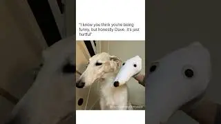 Let me do it for you