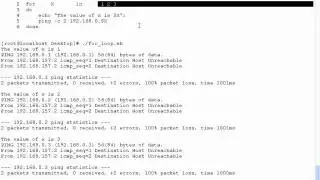 SADS: Bash Looping
