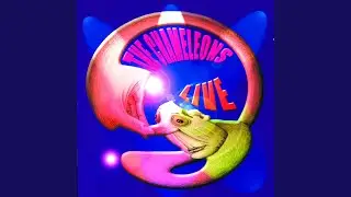 Monkeyland