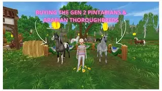 Buying The Gen 2 Pintabians & Gen 2 Arabian Thoroughbreds