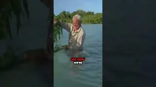 Fish Psychology Explained