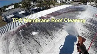 TPO Membrane Roof Cleaning Transformation | Shadow Brook Mobile Home Park Palmetto, FL #softwashing