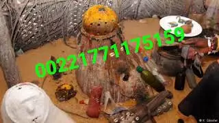 Marabout Casamance