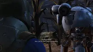 Fallout