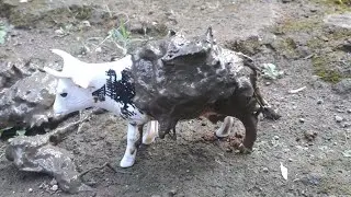 Kuda mainan sapi sapi kotor dicuci di sawah
