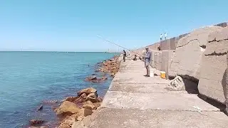 MI&Eacute;RCOLES 11 DE FEBRERO 2026.