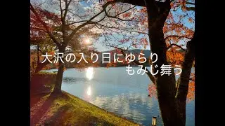 京都嵐山付近20251127