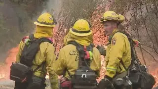 Cal Fire Reports On Cause Of Zogg Fire