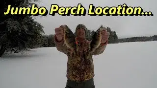 Ice Fishing  Perch Location &ndash; Where To Find Jumbo Perch