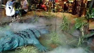 Rainforest Cafe - Dallas, TX