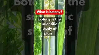 What Is Botany? (Botany Overview) #definition #short #viral