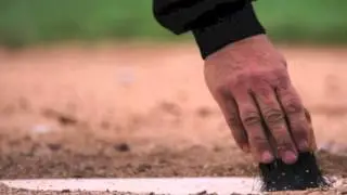 Rawlings Umpire Plate Brush   UBR