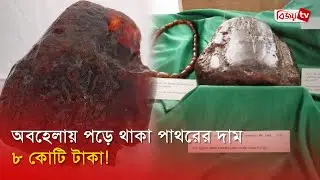 অবহেলায় পড়ে থাকা পাথরের দাম ৮ কোটি টাকা! Bijoy TV