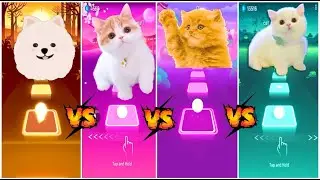 White Dog vs Kitten vs Red Cat vs Domestic Cat   Tiles Hop EDM Rush