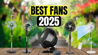 The 5 Best Fans to Buy in 2025