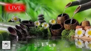 Chillhop music to study - Chill music to relax and study #sleepmusic #meditationmusic #relaxationmus