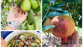 جولة في الطبيعة , خيرات بلادي
