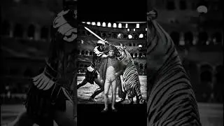 Why Discipline Fails Without Daily Routine #discipline #mindset #motivation SILENT ASCENT