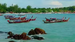 no copyright Nature video|#Nature #4k #no copyright