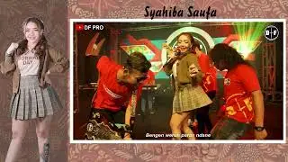 Syahiba Saufa FULL ALBUM LAGU LAGU LAWAS || DF PRO