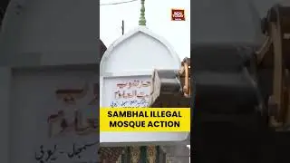 Sambhal Illegal Mosque Action | #shorts #sambhalnews #uttarpradesh #sambhal #mosque #demolition