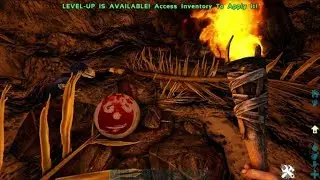 Lost Island Easter EGG Found