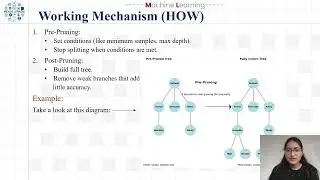 24.Pre-Pruning and Post-Pruning in Trees