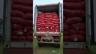 AB Foodstuffs | Export Import | Containers #exporter #imports #abfoodstuffs #exporting #agriculture