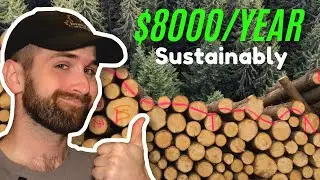 How to Get Money From Timber Harvests Every Year