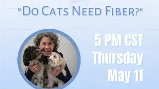 Holistic Cat Health:  Do Cats Need Fiber? | Purrrfectly Holistic