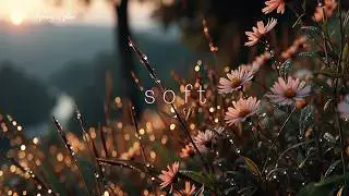 Morning Guitar Music for Peaceful Sunrise ~ Gentle Acoustic Melodies & Nature Vibes