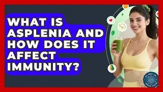 What Is Asplenia And How Does It Affect Immunity? - All About the Immune System