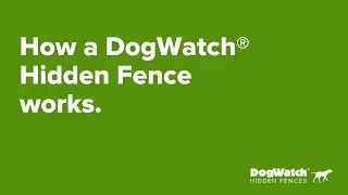 Как обеспечить безопасность ваших питомцев | Как работает скрытый забор DogWatch&reg;!