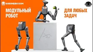 Видео №15. ЧТО он может? TRON 2 официально запущен. Основы робототехники + физическое воплощение