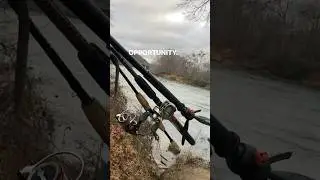 Chattahoochee river, Atlanta, Georgia.#fishing #atlanta #shorts